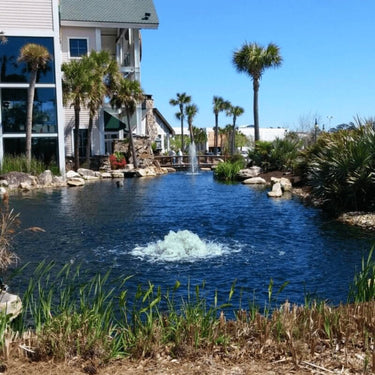 Bearon Aquatics Power House Surface Aerator On The Water With Trees & Buildings In The Background